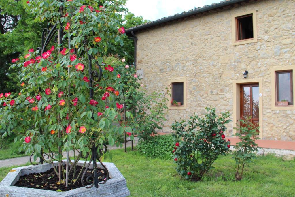 Agriturismo Il Castagnolino Bauernhof